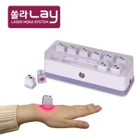 선월드코리아 쏠라레이(SOLAR LAY)  1대