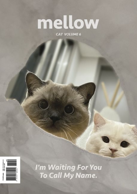 Mellow Cat Volume 6(멜로우매거진)