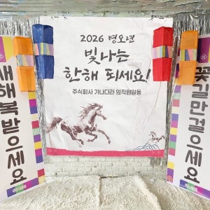 새해 파티 세트 65번 / 청사초롱 새해 현수막 명절 포토존 꾸미기