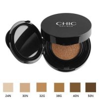 어두운피부 선택형 CHIC HOLIQUE SKIN FIT Cushion Foundation 9g