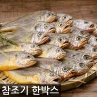 싱싱 참조기 한박스 도매 52마리내외 조기 부세 갈치