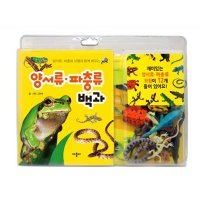 어린이 개구리 도마뱀 카멜레온 뱀 악어 양서류 파충류 모형백과 유아책 1개