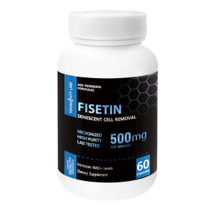 영제비티랩스 <b>피세틴</b> 500mg 99% 순도 60캡슐