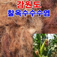 우리네농산 강원도 옥수수 수염 100g 햇볕에 잘 말린 깨끗한 옥수수수염 옥수수수염차 산지직배송  1개