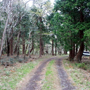 아난티 제주도골프장골프텔 ~2.6부터 판매불가 60평형 올뉴 투싼 비행기표이름변경 겨울제주여행