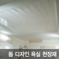[돔천장재]SMC/평형천장/고급마감재/욕실리모델링/화장실인테리어