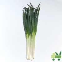 대파 10Kg (중국산) (수입대파)