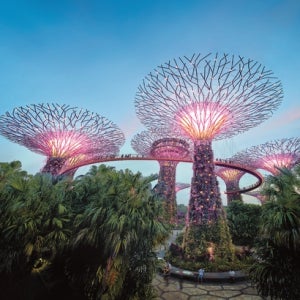 부산출발 싱가포르 5일 #1일자유 #센토사섬 #루지 #노쇼핑 #제주항공