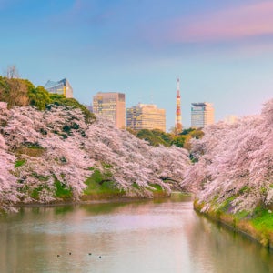 동경4일#핫플레이스#1일자유OR하코네#동경3연박#요코하마야경에어캐빈/시부야,하라주쿠