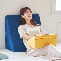 [세레스홈] 소프트 식스모션 삼각 쿠션 2size