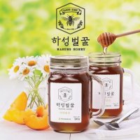 [북부농협]하성벌꿀(야생화) 500g x 2병