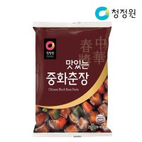 청정원 청정원맛있는중화춘장250g파우치 x10개