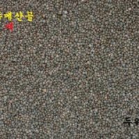 강원도 정선 고랭지 산 햇들깨 500g - 해발 800m재배