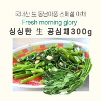 미트팬트리 동남아풍 스페셜 야채 국내산 生 공심채 300g Fresh Morning Glory