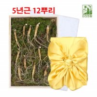 산양삼 장뇌삼 장내삼 강원도 5년근 산양 산삼 진세노사이드 사포닌 12뿌리 오동나무케이스포함