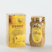 벌화분 도토리 숲사랑농원