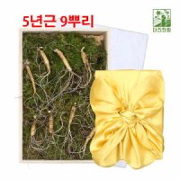 산양삼 장뇌삼 장내삼 강원도 5년근 산양 산삼 진세노사이드 사포닌 9뿌리 오동나무케이스포함