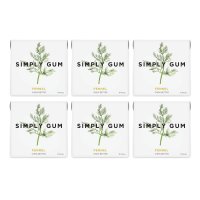 Simply Gum 심플리 껌 펜넬 Fennel 6팩