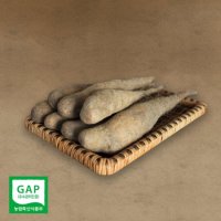 [태나농장] 마 산마 참마 생마 햇마 (상품 5kg)