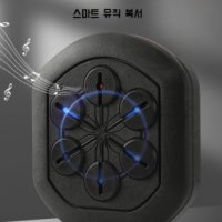 즐거운 스마트 음악 복싱-음악 권투 대상 어린이 권투 장갑