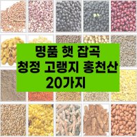 국산 햇 잡곡 20종 고랭지 강원도 홍천산 잡곡 참깨 수수쌀 호랑이줄단콩 약콩 서리태 적두 들깨 능근옥수수 밤쌀 백태 볶음땅콩 깐녹두 둥굴래 자연산  햇채소:양파1kg