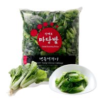 마당발 냉동 배추 얼갈이 1kg  단품  1개