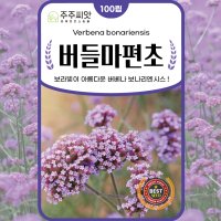 주주씨앗 버들마편초 씨앗 100립 버베나 보나리엔시스Verbena bonariensis 퍼플톱 버베인 클러스터톱 버베인 아르헨티나 버베나 라일락 버베나 종자 씨 보라색꽃  1개