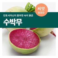 마이플랜트 수박무 씨앗 100립 채소 씨앗