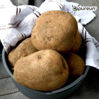 [이푸른] 포슬포슬 감자 10kg(특 사이즈)