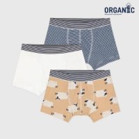 PETIT BATEAU 남아 오가닉 애니멀 스트라이프 팬티