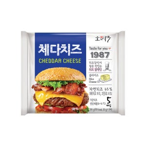 동원 소와나무 체다치즈 100g(20g x 5매) x 10개