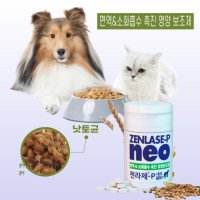 강아지 고양이 소화제 소화효소 소화효소제 소화영양제  1개