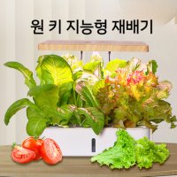 홈 스마트 지능형 야채 키우는 기계 수배 채소 재배기