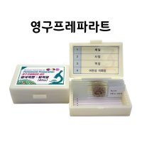 암석박편-퇴적암 프레파라트 4pcs