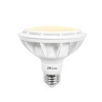 닥터룩스 LED 확산형 전구색 PAR30 F 15W 30K-22