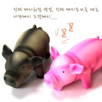 강아지라텍스공 강아지공놀이 튜브 돼지