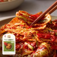 CJ제일제당 CJ 백설 다담 겉절이 김치양념 150g