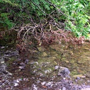 오션스위츠호텔 스탠다드 트윈 산전망 테슬라 모델32박3일패키지현충일제주도항공권 제주도전기자전거 제주도캠핑카