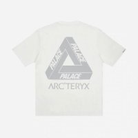 팔라스 x 아크테릭스 티셔츠 20FW Palace x Arc teryx T Shirt - Palace