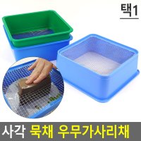 사각 묵채 우무가사리채