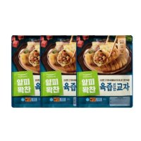 풀무원 얄피꽉찬 육즙진한교자 400g 6봉