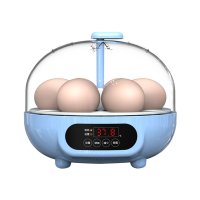 계란부화기 오리알 계란 인큐베이터 소형 가정용 자 -콩나물 6조각