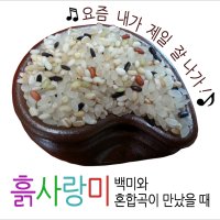 [흙사랑미] 맛있는쌀 혼합곡쌀 1kg 3kg 자취생 캠핑 가정에서 답례품 추천 산지직송 흙사랑농장 모이랑  1개  흙사랑미1kg