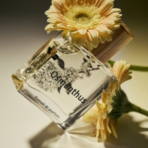 오스만투스 니치향수 | 금목서 | 선물포장, 세이리 SEI LI