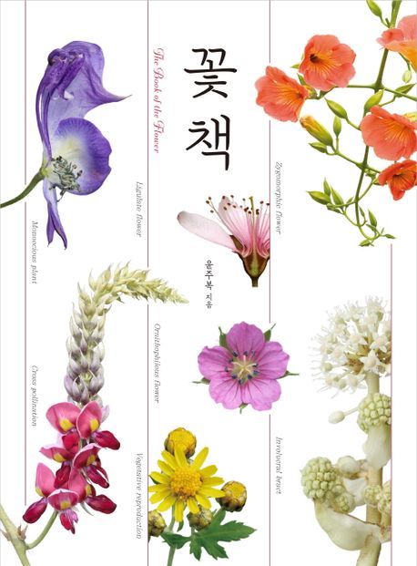 <span>꽃</span>책 : The Book of the Flower