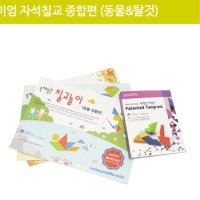 5세 6세 7세 아동 지능개발 놀이 교구 조각맞추기 창의성발달 자석칠교 종합편