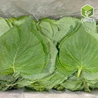 국내산 찹찹이 깻잎 1kg