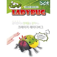 6개월아기 움직이는장난감 곤충 무당벌레 동물피규어