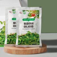 황금이네 미나리즙 100ml x 30개입