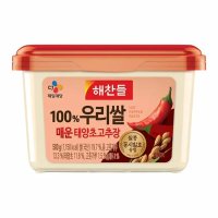 CJ 해찬들 우리쌀 태양초 매운 고추장 500g 400 100g x10개